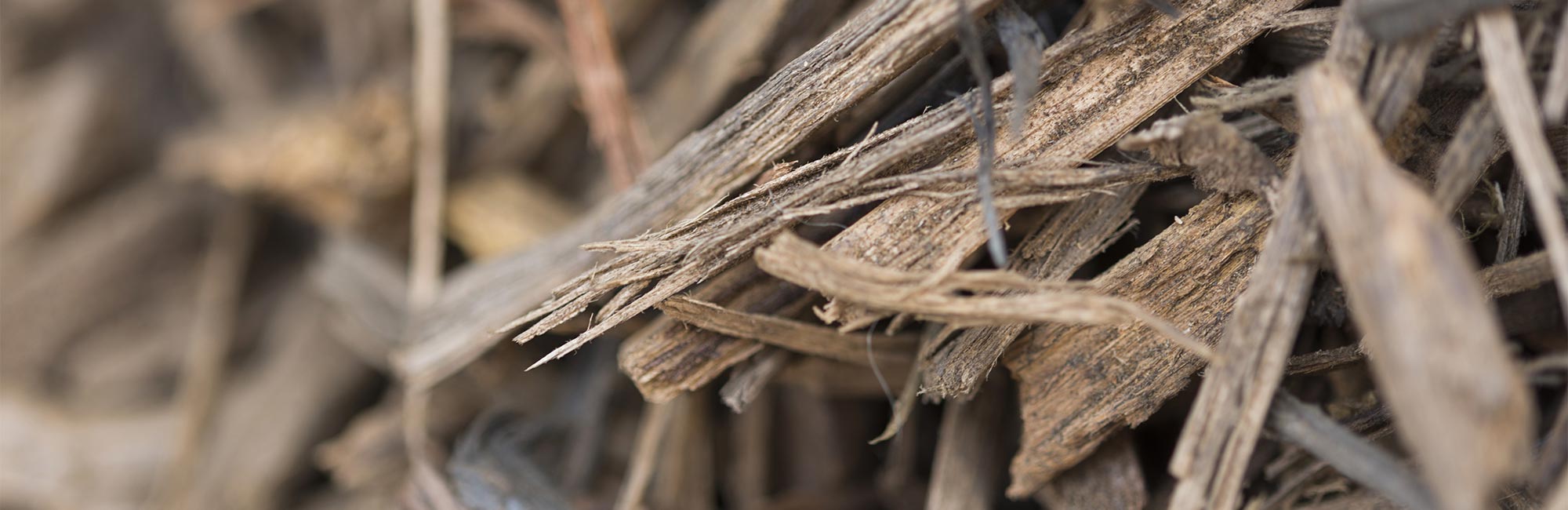 recyclage des bois traités et pollués